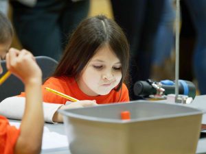 Student studies her worksheet during lesson study