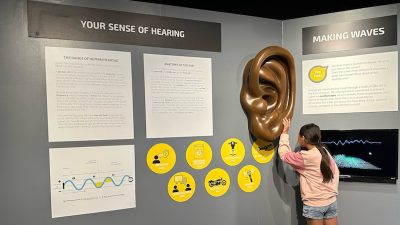 Exhibit of Giant Ear