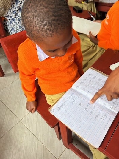 A little boy has reading lessons