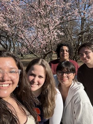 Students take a selfie next to a blossoming cherry tree in Washington, DC