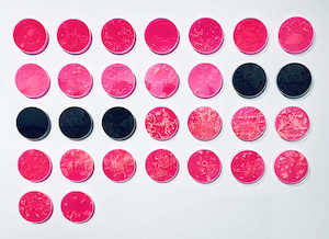 30 fluorescent Plexiglas laser engravings encased in Petri dishes, each 5½“ in diameter.