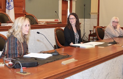 Social work professionals sit on a panel discussion